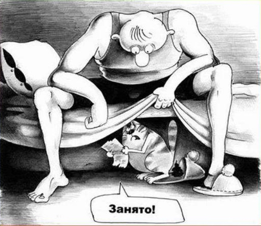 Злые кожаные устроили котикам разрыв шаблона