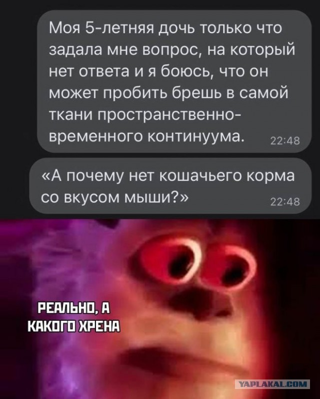 Скриншоты и комментарии из социальных сетей 10.08.22