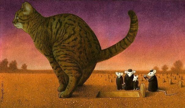 Как срут коты