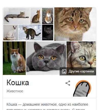 Пасхалка из Google
