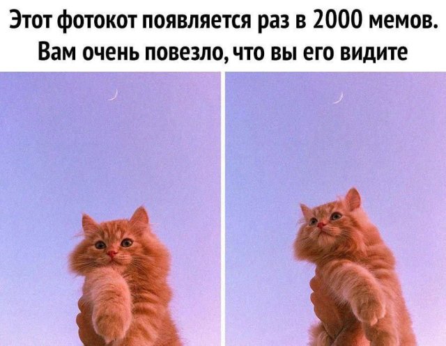 Картинки и мемы для настроения - 119