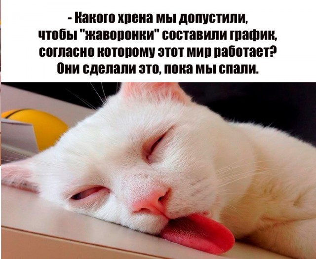 Картинки и мемы, всем хороших выходных