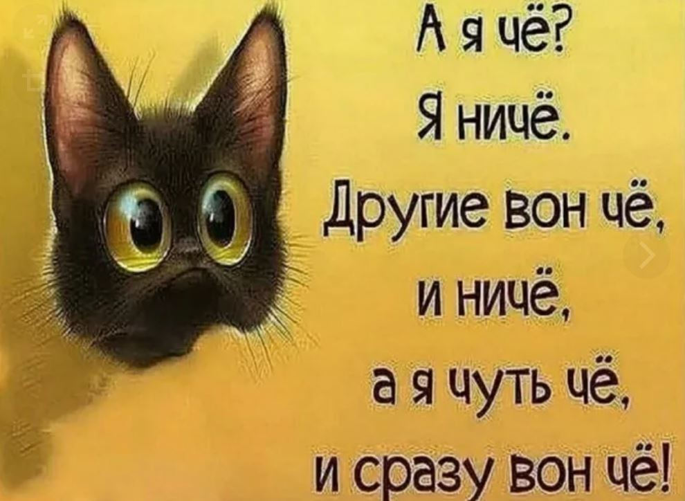 Ну вот оно как. Я ничего другие вон че и ниче. А Я чё я ничё. А че я я ниче другие вон. Картинка а я че я ниче.