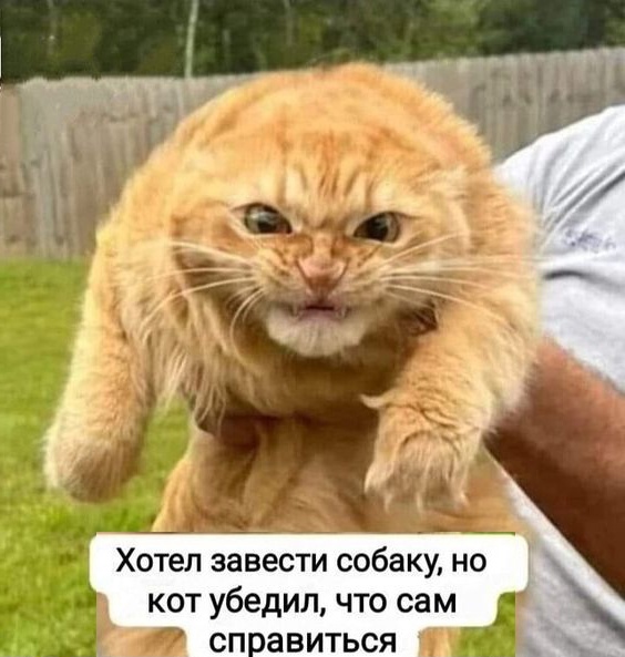 Так себе картинки 08.04.23