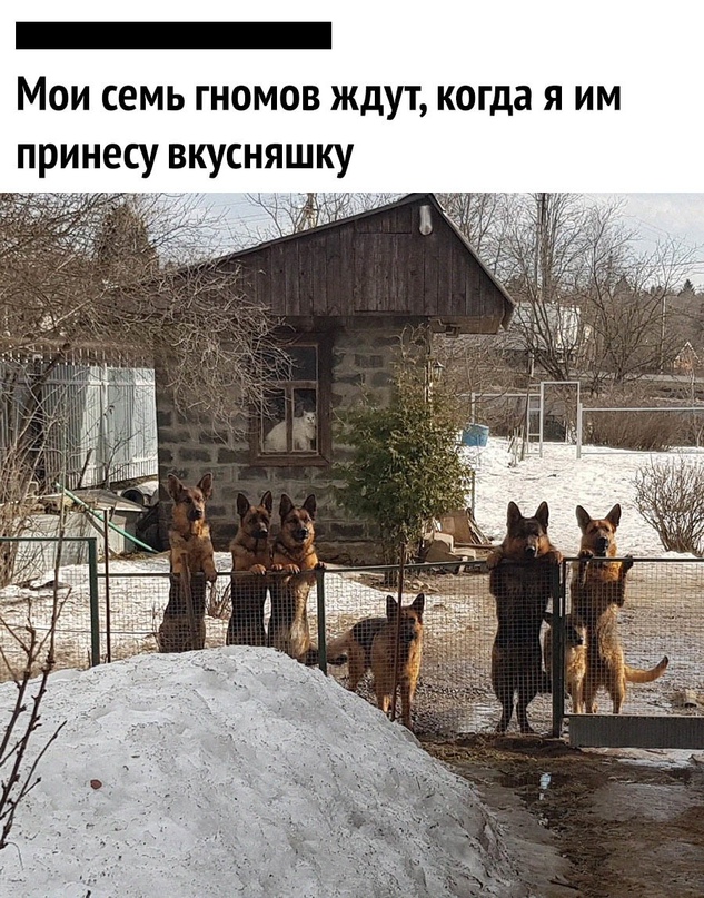 Картинки и мемы, всяко разно - 181