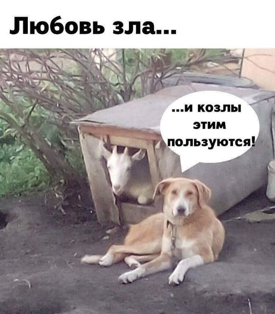 Так себе картинки 20.06.23