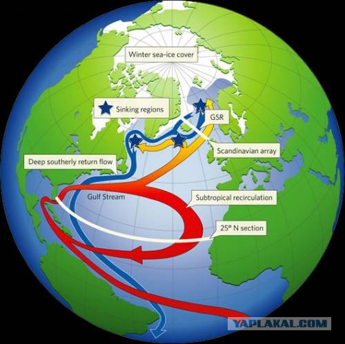 Раскол Гольфстрима - снегопады