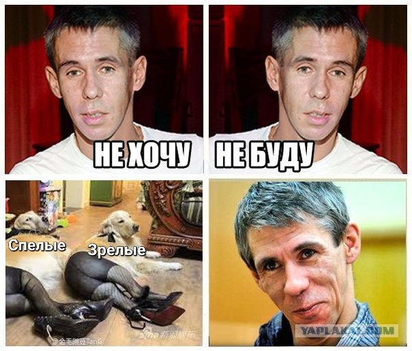 Спелость &  Зрелость 12.01.2024
