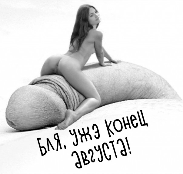 Взялись за супругу Пригожина