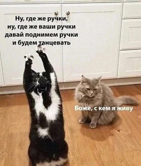 Картинки для...