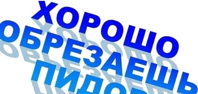 Какой важный куриц