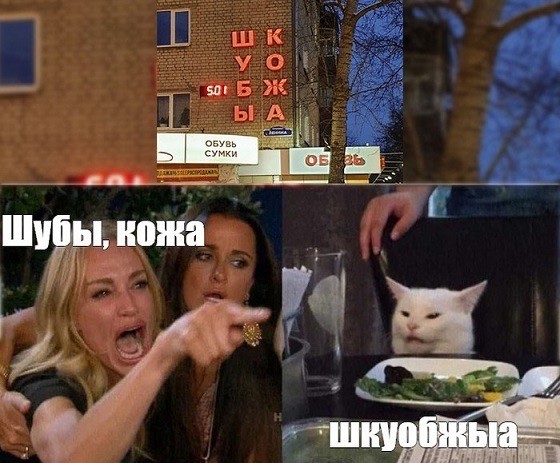 Знаменитый кот 2