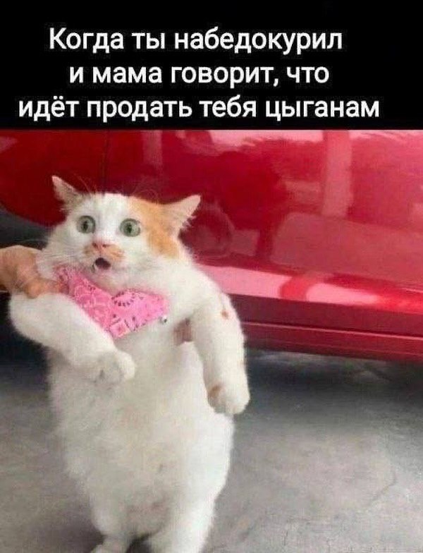 Быстрая деградация