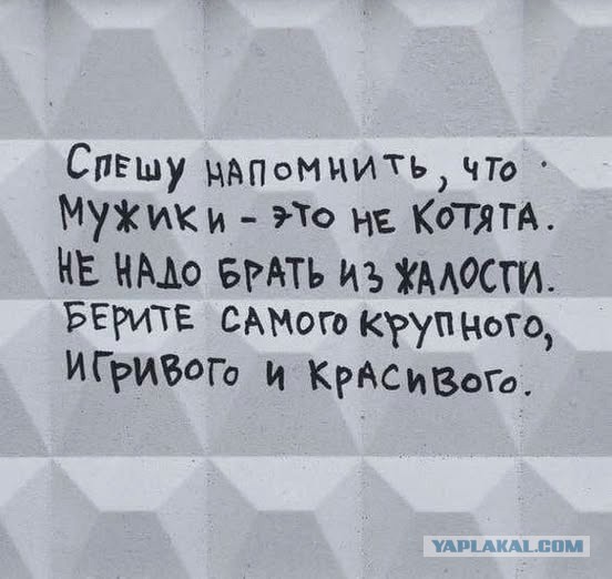Так себе картинки 21.10.25