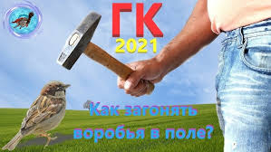 В России проведут перепись воробьев