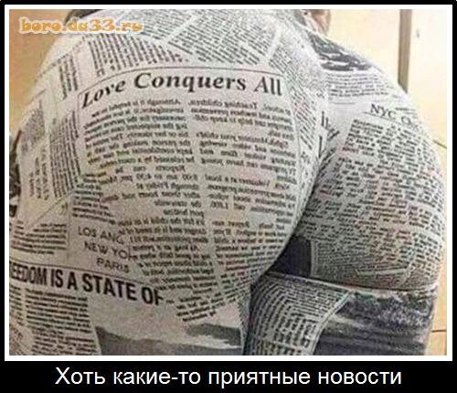 Забавные и не очень скромные картинки - 26