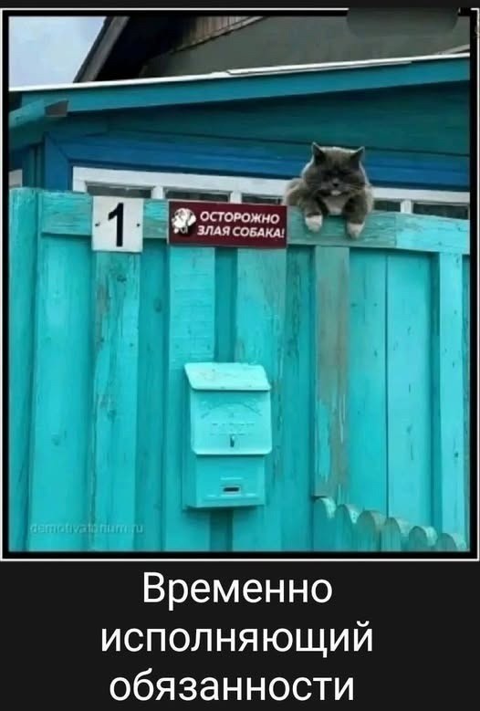 Прикольные и просто красивые картинки 27.02.2026