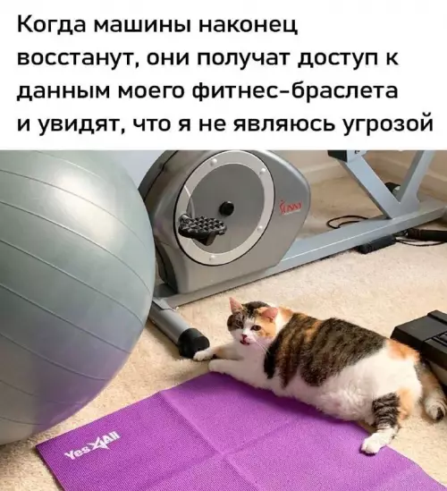 Картиночки, баянчики 05 марта