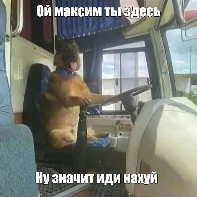 "Я где н**уй вообще. Собака, спаси меня, пожалуйста. Гав-гав-гав-гав"