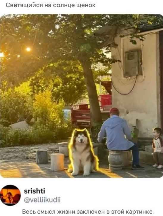 Моменты из жизни людей