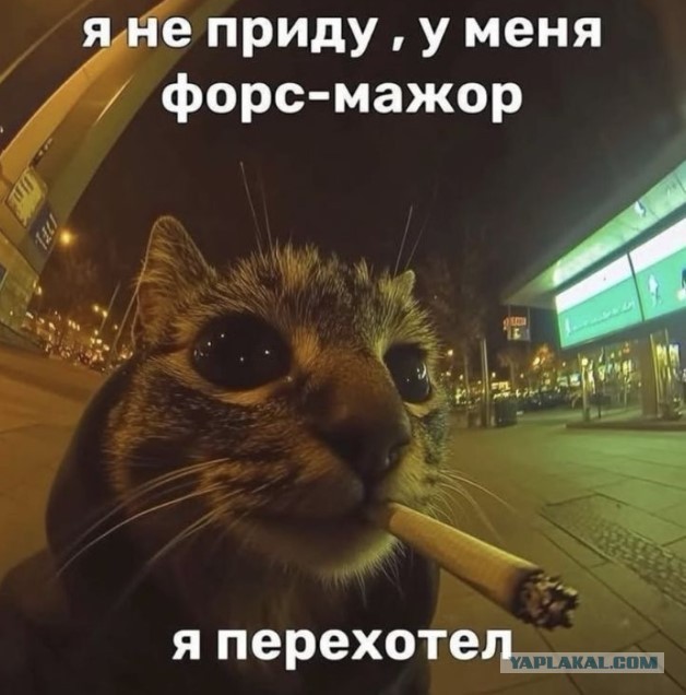 Понедельниковые тРРРидцать тРРРи