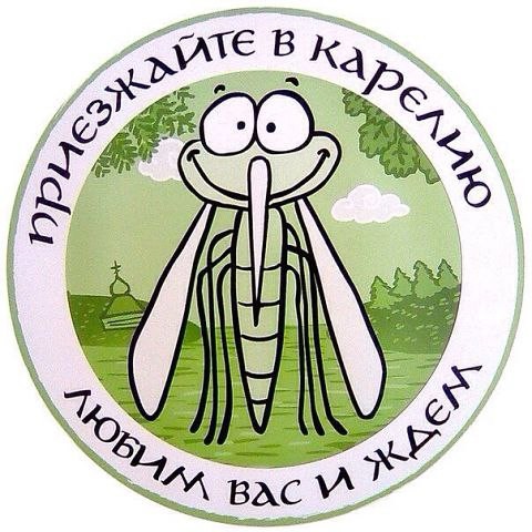 Как я ездил по Карелии