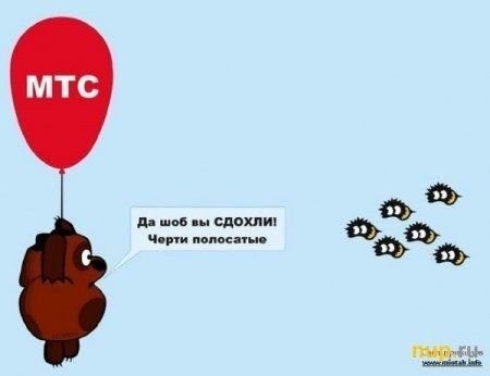 У Вини днюха