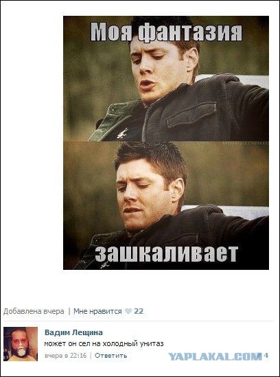 Смешные комментарии из социальных сетей
