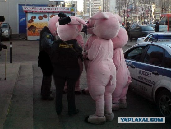 Встреча двух инопланетных цивилизаций