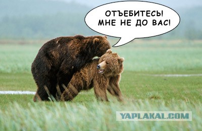 Женская дружба как она есть