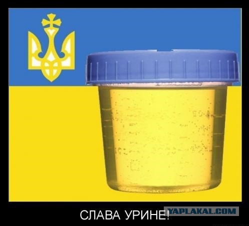 Чего добиваются власти Украины?