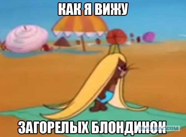 Комменты из соцсетей
