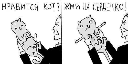 Нравится котик?