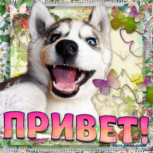 Плюсомет со шпалометом