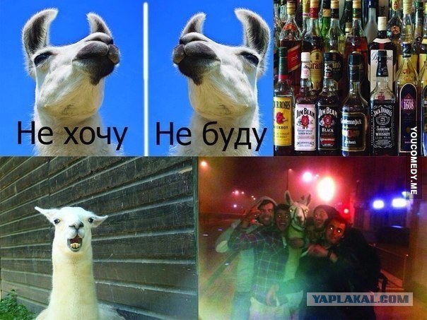 Немного позитива на пятницу
