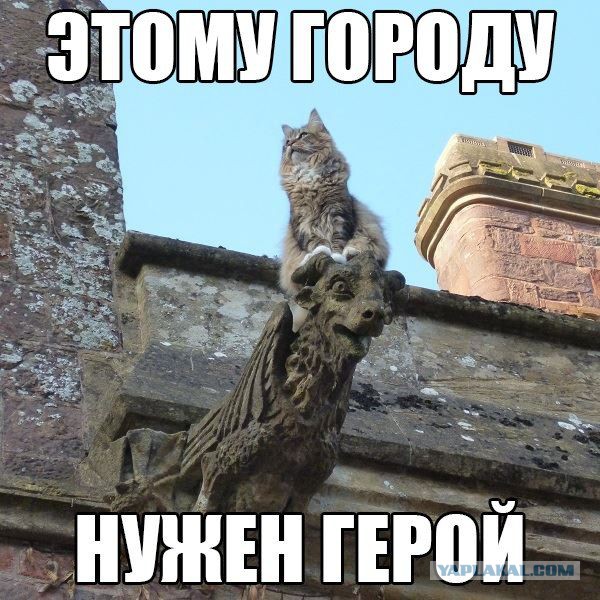 Веселые картинки
