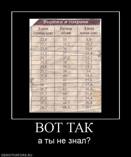 Ластоногий