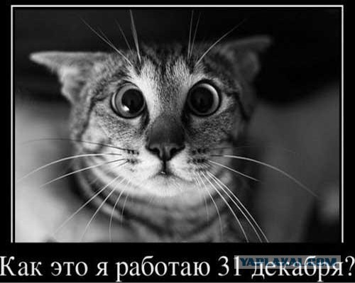 Давно демотиваторов не было