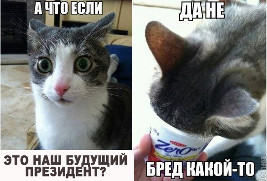 Новогодняя Поклонская