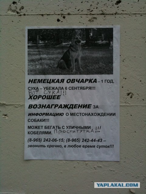 Мишка мы тебя ждем !