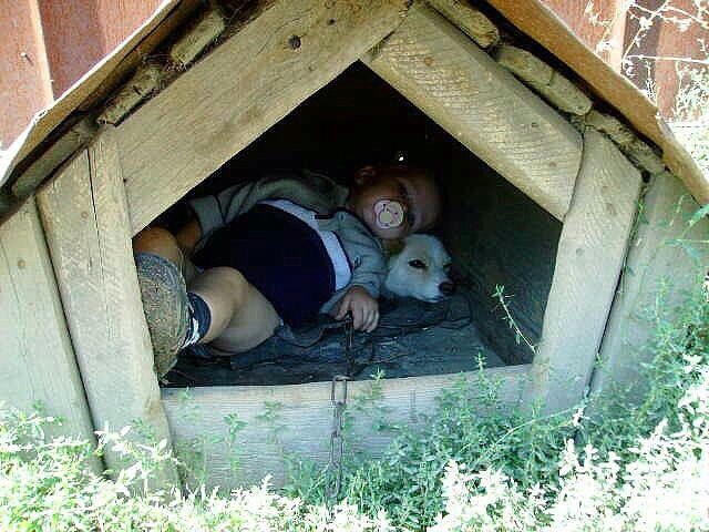 Немного картинок с просторов...