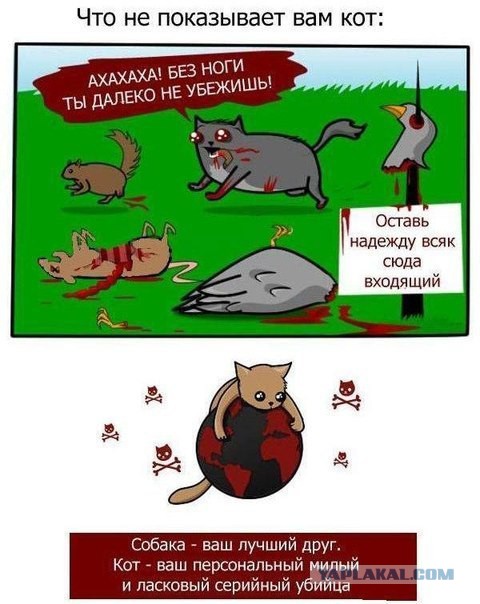 Жадный котенок и свеженькая мышь