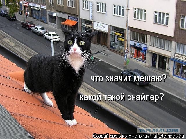 1 апреля. Из завалявшегося...