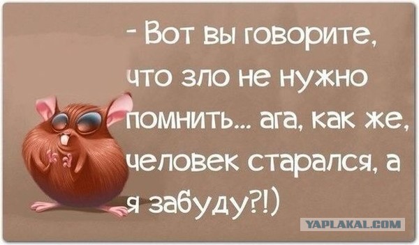 Афоризмы и картинки