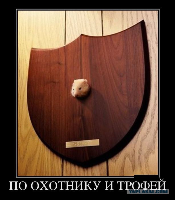 Подборка баянов.