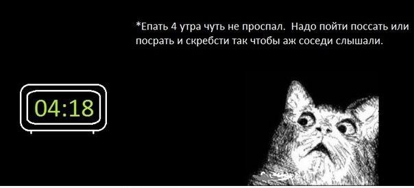 Плюшкиным посвящается