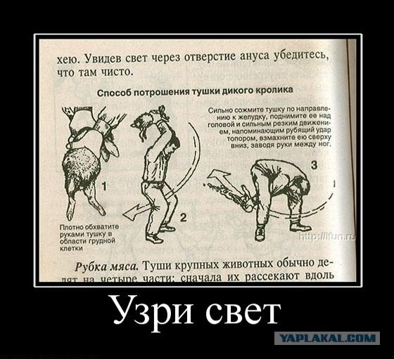 Бандерлоги