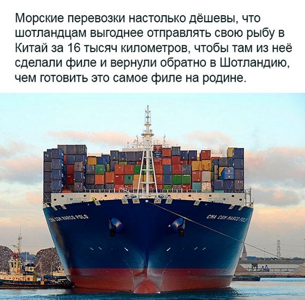 15 картинок с тЫрнета