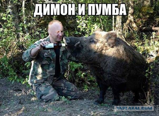 Подборка прикольных фото на пятницу