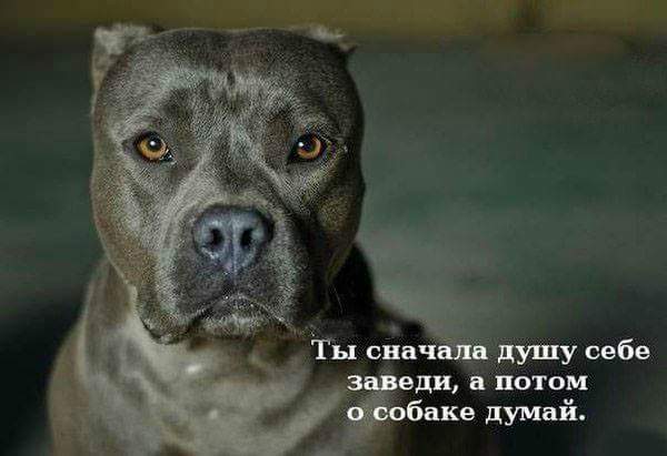 Подборка забавных картинок